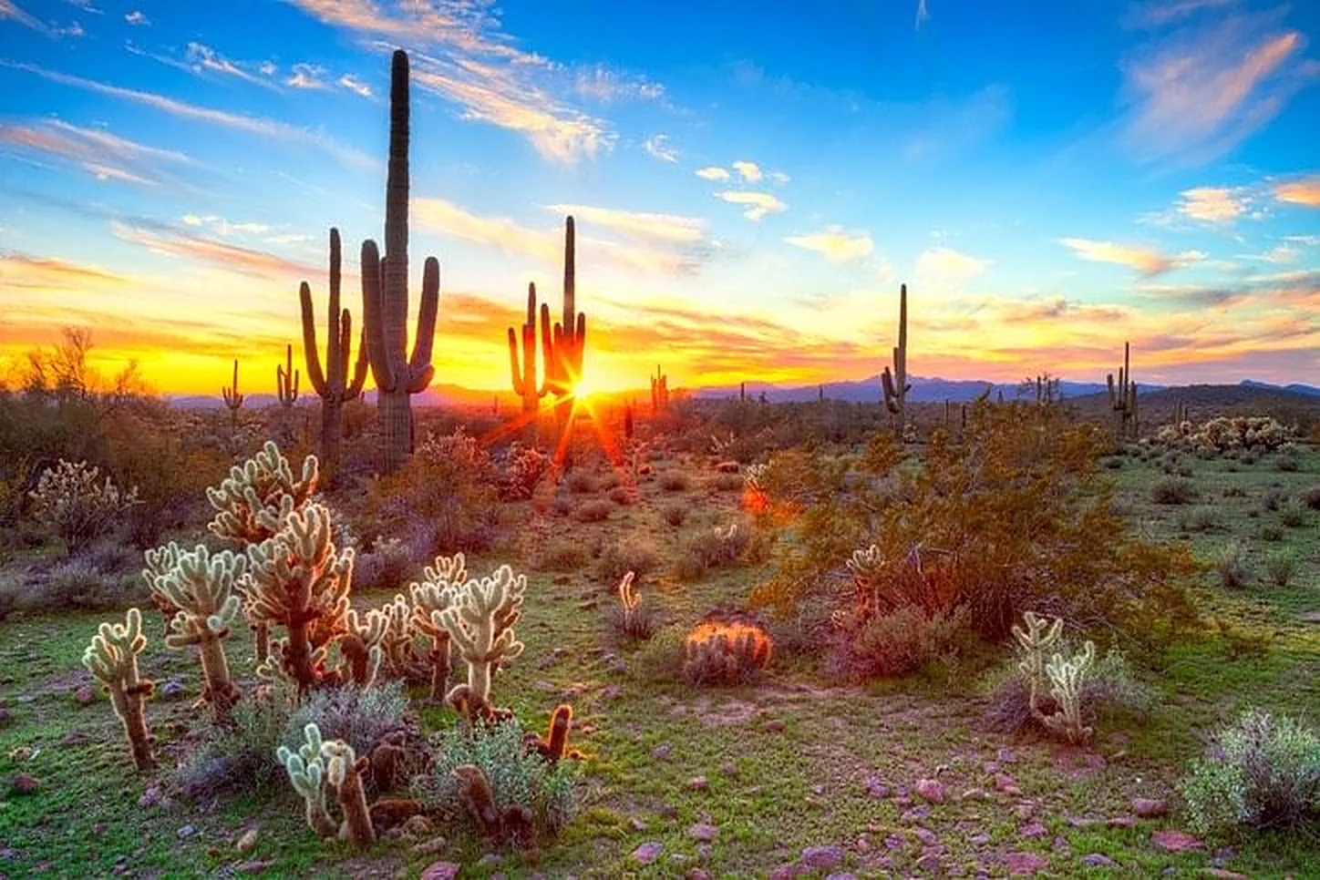 Black Canyon City, Arizona