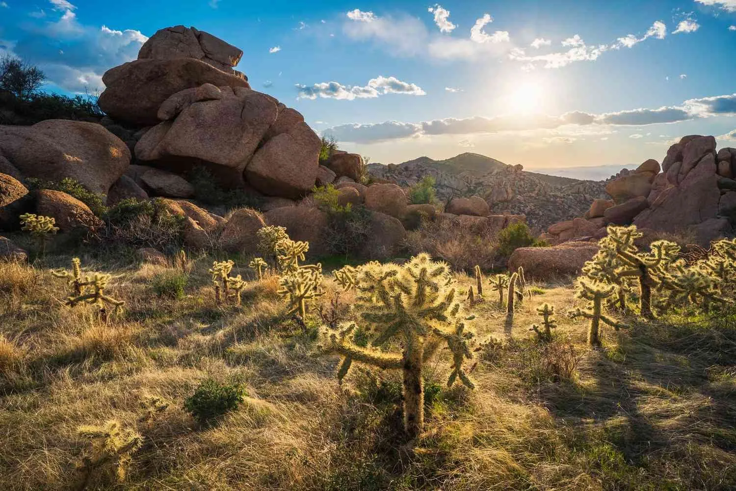Desert Hills, Arizona